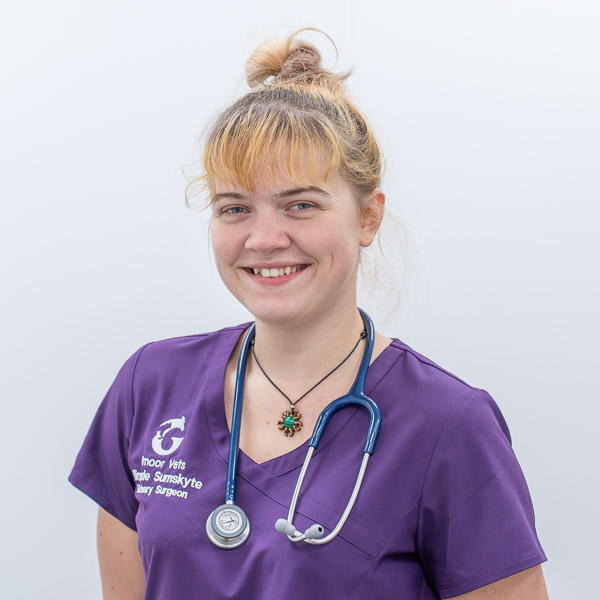 Rimvyde Sumskyte - GVG (Web)